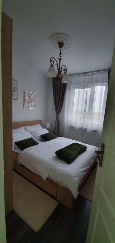 Apartament Thea Daire Făgăraş Dış mekan fotoğraf