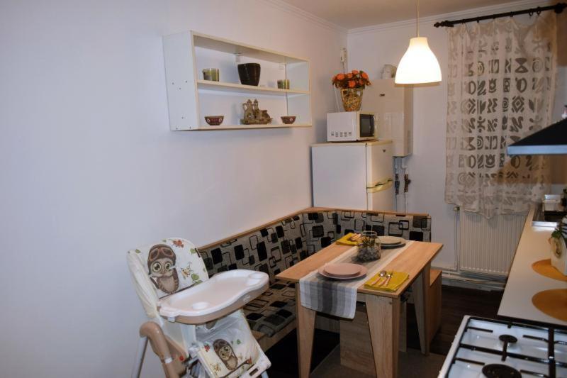 Apartament Thea Daire Făgăraş Dış mekan fotoğraf