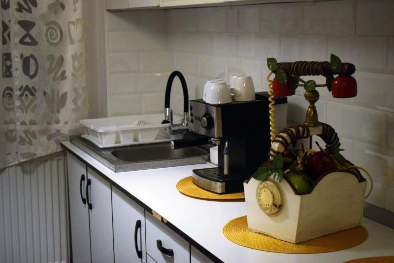 Apartament Thea Daire Făgăraş Dış mekan fotoğraf