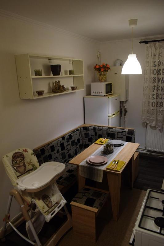 Apartament Thea Daire Făgăraş Dış mekan fotoğraf