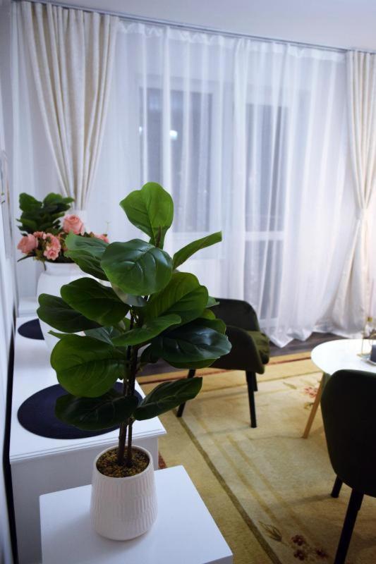 Apartament Thea Daire Făgăraş Dış mekan fotoğraf