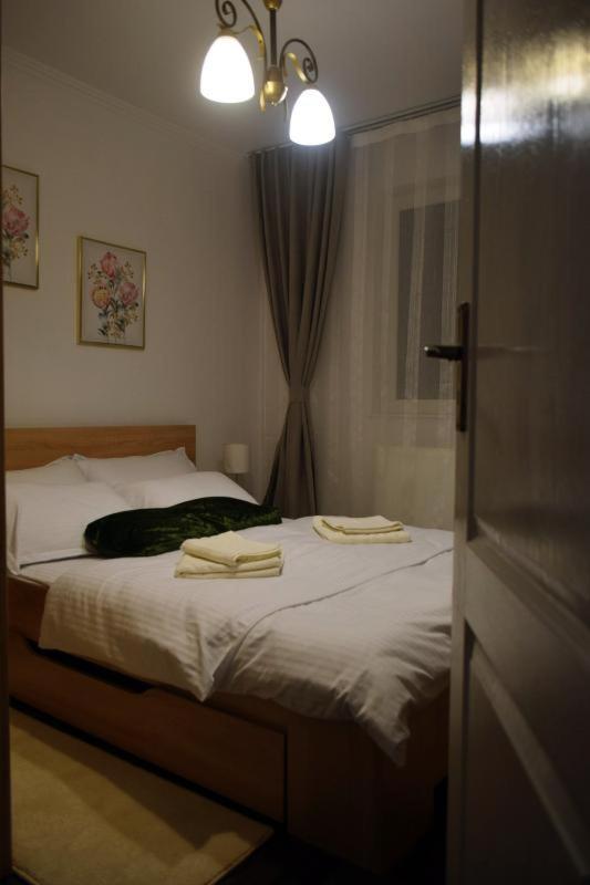 Apartament Thea Daire Făgăraş Dış mekan fotoğraf