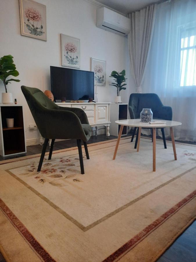 Apartament Thea Daire Făgăraş Dış mekan fotoğraf